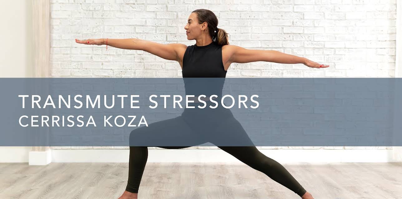 Transmute Stressors (2020)