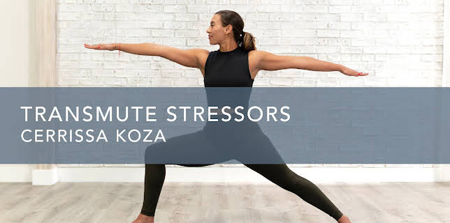 Transmute Stressors (2020)