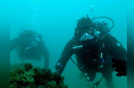 Ross Kemp: Deep Sea Treasure Hunter: D-Day