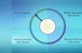 Masters of Mindfulness: Transforming Your Mind and Body: The Wheel of Awareness: A Model for Well-Being