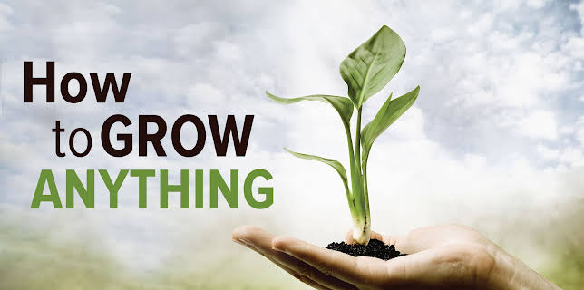 How to Grow Anything: Your Best Garden and Landscape in 6 Lessons