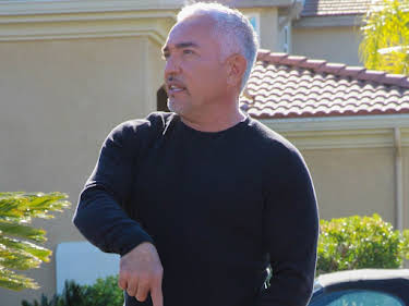 07:10: Cesar Millan: Better Human Better Dog - Bessere Menschen, bessere Hunde | Sixx | 4/26 2026