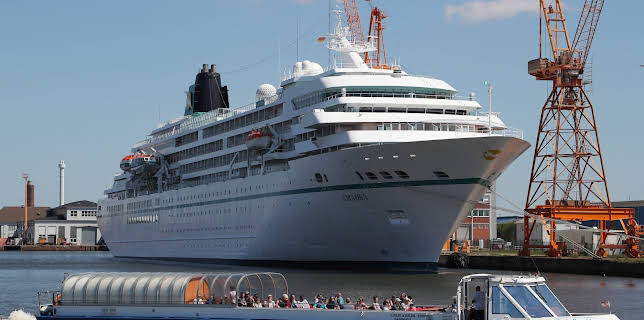 15:45: Giganten der Meere | ZDFinfo | 12/11 2025