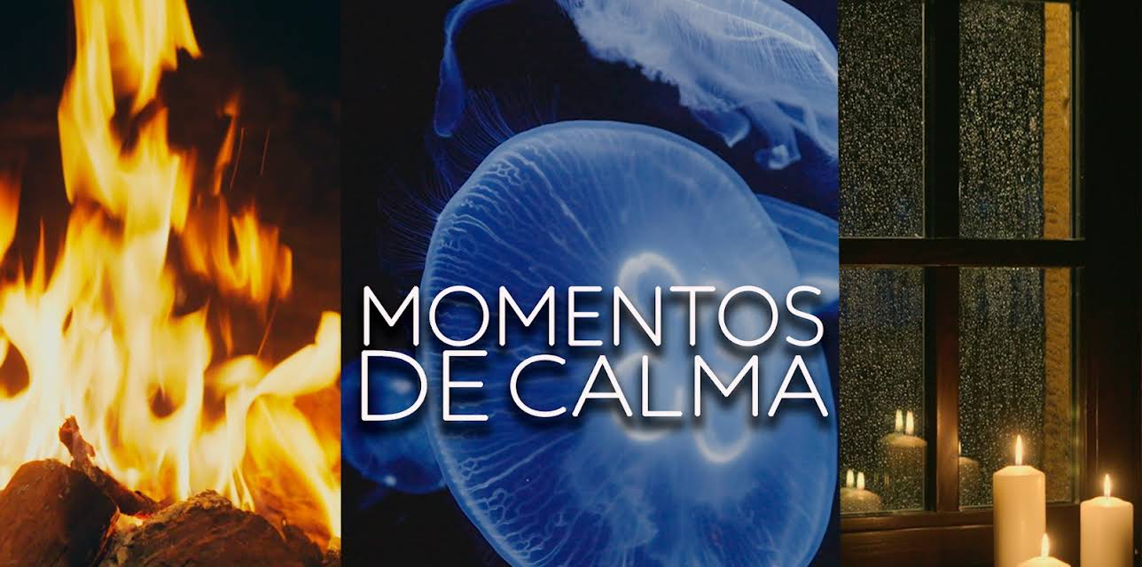 Momentos de calma
