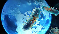 Katastrophen der Erdgeschichte