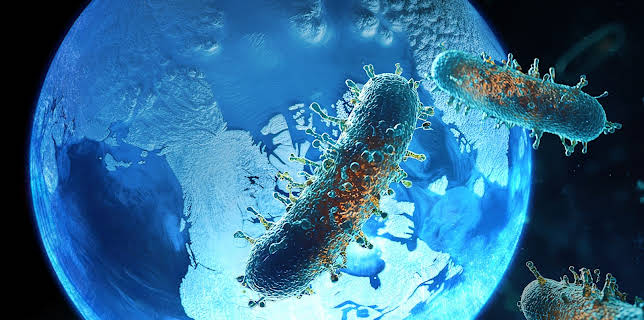 19:30: Katastrophen der Erdgeschichte | ZDFinfo | 11/26 2025