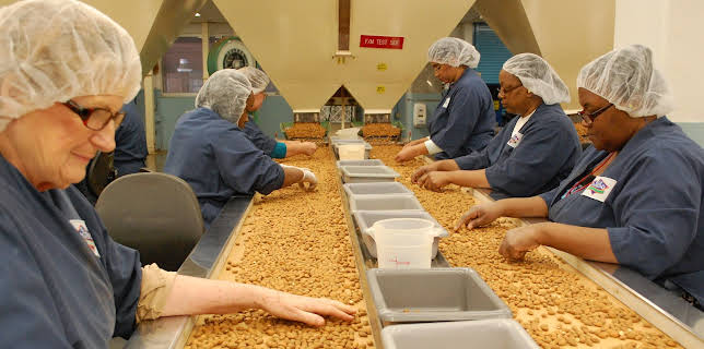 05:25: How Do They Do It? (S9 E5) (S9) | Kanal 9 | 3/16 2026