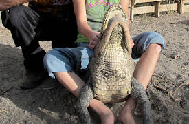 Preposterous Pets: Episode 2