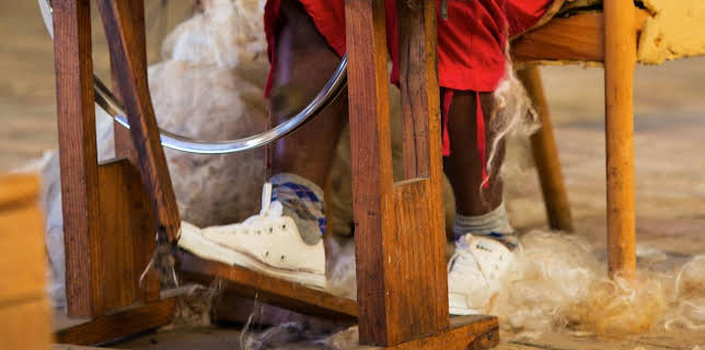 08:08: 360° Geo Reportage | Arte | 11/22 2025