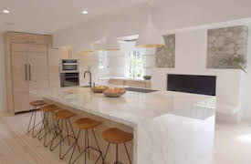 Million Dollar Beach House: Si quieres un amigo, te compras un perro