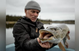 Jeremy Wade: Dark Waters Season 1: Ice Age Predator
