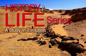 History Of Life Series: A Study In Evolution: Plants, Earth's Quiet Rulers