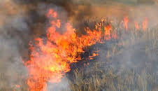 World's Deadliest Weather: Caught on Camera (S3 E3)