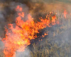World's Deadliest Weather: Caught on Camera