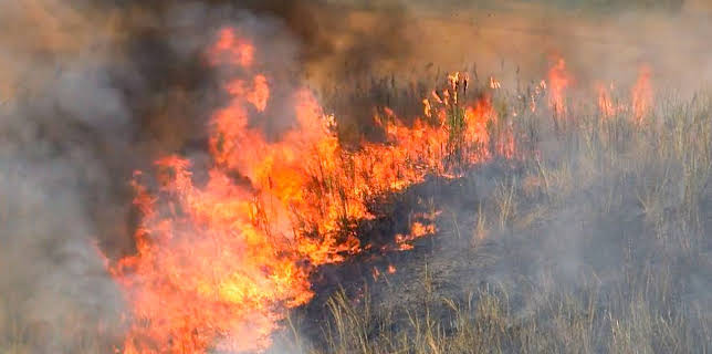 12:00 AM: World's Deadliest Weather: Caught on Camera | Paramount | 1/8 2026