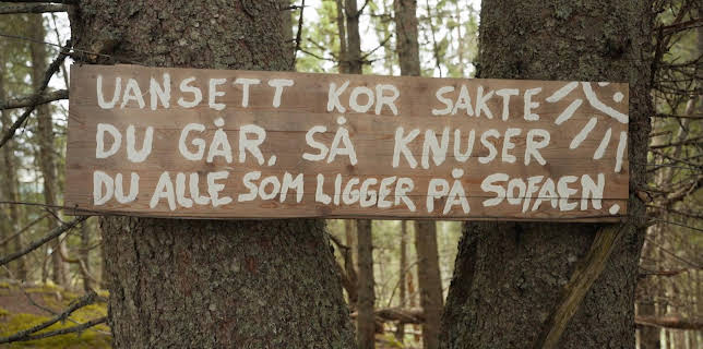 20:30: 71° nord - team (S5 E15) (S5) | TVNorge | 3/15 2026