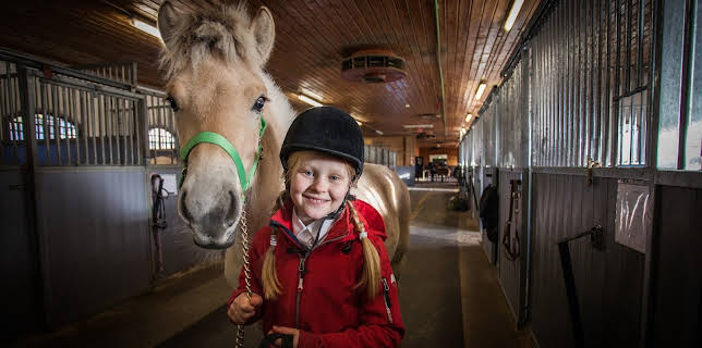 11:55: Klart eg kan: Hesteutstilling | NRK Super | 11/14 2025