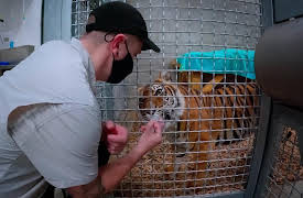 Wild Heroes: Episode 2