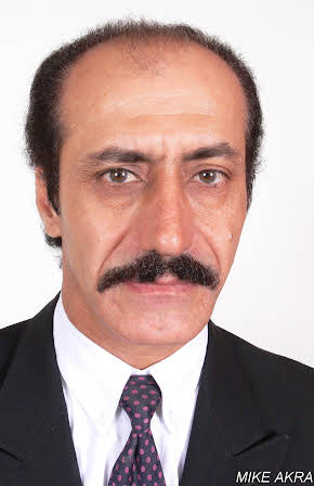 Mike Akrawi as 