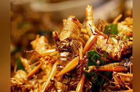 Duncan's Thai Kitchen: Lotus Kingdom