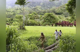 Buying Hawaii Season 1: Boar Island