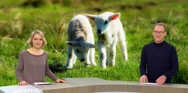 10:00: Schleswig-Holstein Magazin | Radio Bremen | 3/22 2026