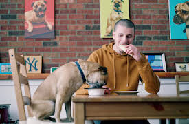 It's Bruno!: Operation kalkonkött