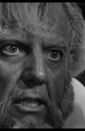 Giuliano Raffaelli as 