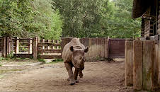 Tierärztin Dr. Mertens (22)