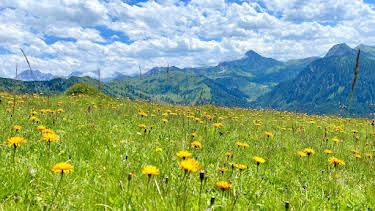 17:30: Großarltal - Tal der Almen | ARD Alpha | 4/17 2026