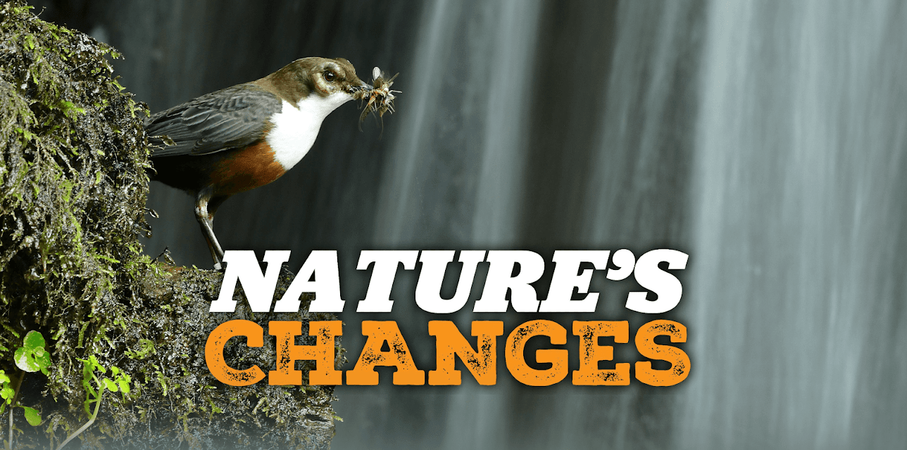Nature's Changes (2025)