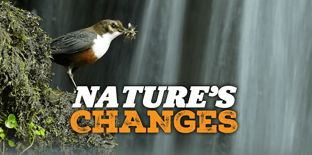 Nature's Changes (2025)