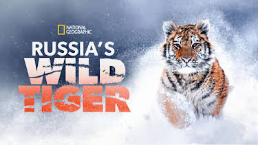 5:00 PM: Russia's Wild Tiger | Nat Geo Wild | 1/2 2026
