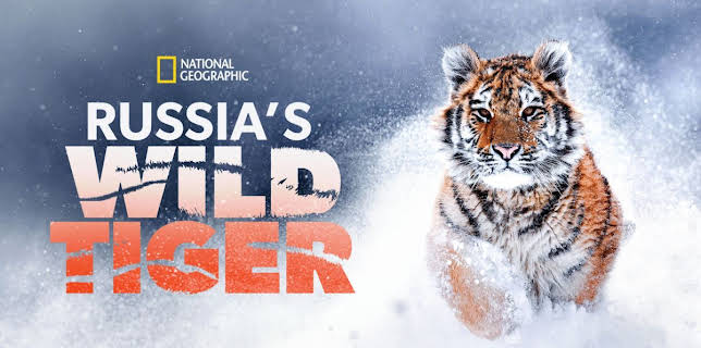 1:00 PM: Russia's Wild Tiger | Nat Geo Wild | 1/11 2026
