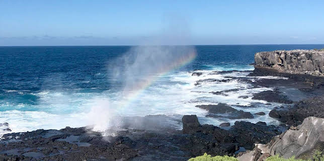 17:50: Galapagos (1/2) | Arte | 2/19 2026