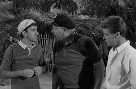 Gilligan's Island: The Complete First Season: Goodnight Sweet Skipper