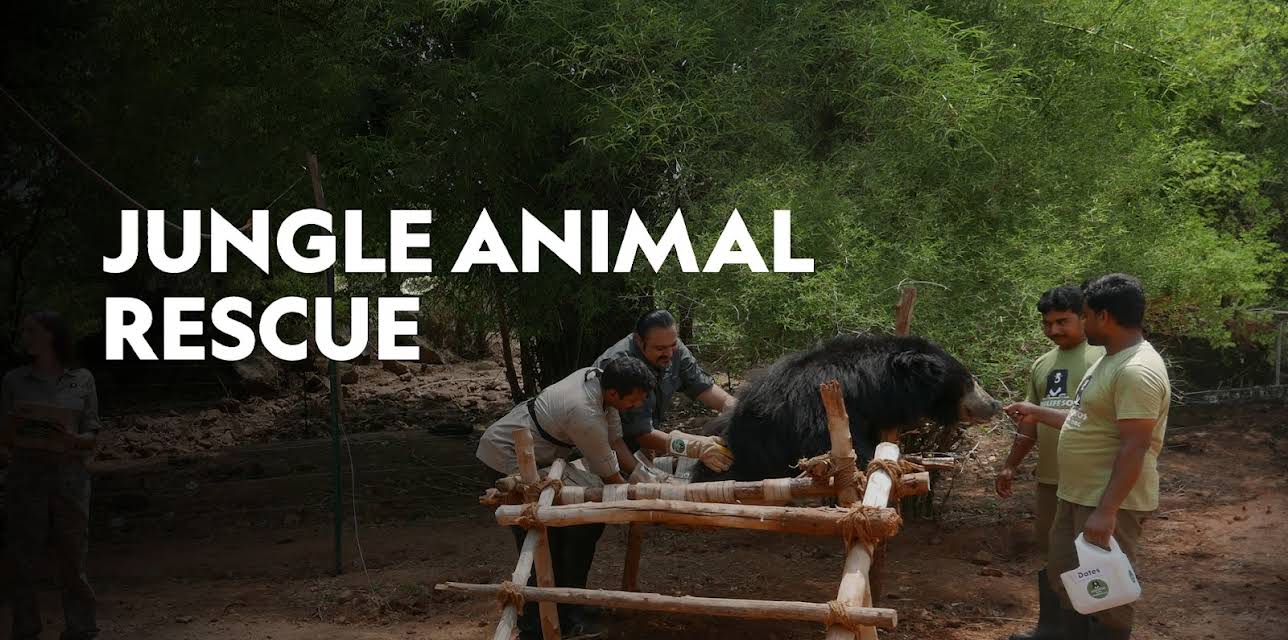 Jungle Animal Rescue Season 1