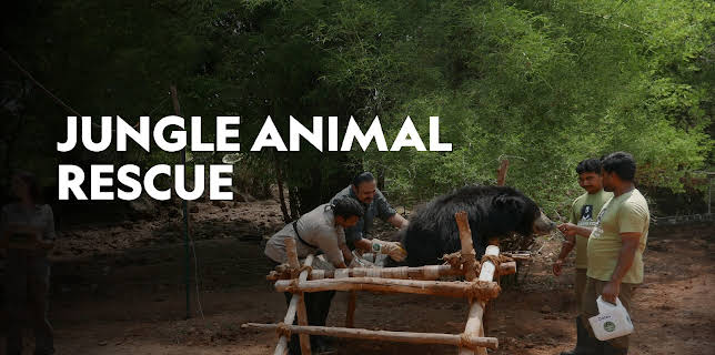 Jungle Animal Rescue Season 1