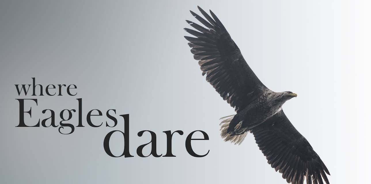 Where Eagles Dare (2018)