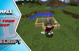Minecraft Map (un)Mastered by Tankee: Saving Jeb, My Rainbow Sheep! | Map (Un)Mastered #9