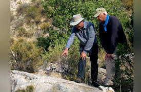 Beyond Is Genesis History?: Nautiloid Fossils : Grand Canyon