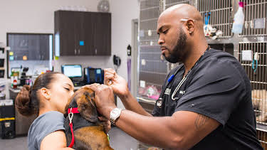 13:05: The Vet Life (S2 E16) (S2) | Animal Planet | 4/3 2026