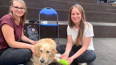 14:00: Alles für den Hund | Radio Bremen | 10/9 2026