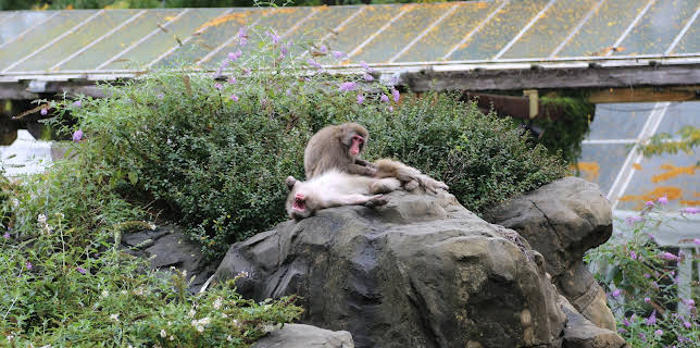 06:50: The Zoo (S3 E9) (S3) | Animal Planet | 1/23 2026