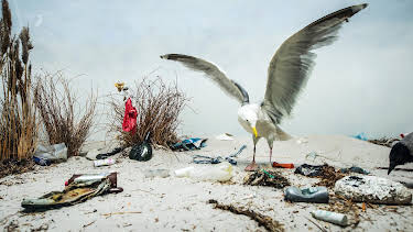 14:00: NaturNah: Eine Frau kämpft gegen Plastik im Meer | NDR Fernsehen | 8/7 2026