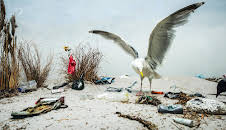 NaturNah: Eine Frau kämpft gegen Plastik im Meer