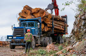 The Last Woodsmen, Season 1: Stranded