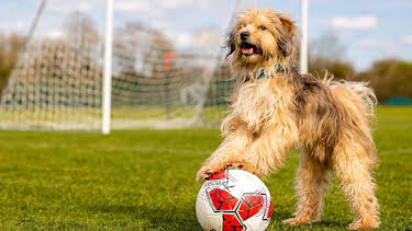 5:05 PM: Football Fantastics (S2) | Cbeebies | 7/13 2026