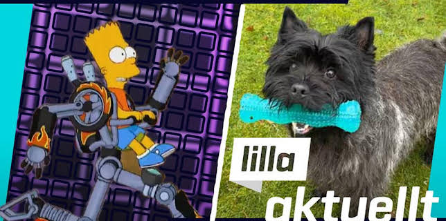 19:15: Lilla Aktuellt | Barnkanalen | 11/20 2025