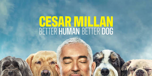 Cesar Millan: Better Human Better Dog Season 1